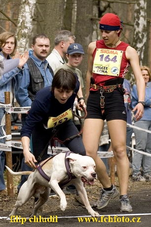 Polsko 2005 - 797.jpg